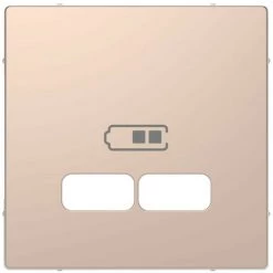 SCHNEIDER D-Life - Enjoliveur Pour Prise USB - Métal Champagne (MTN4367-6051)