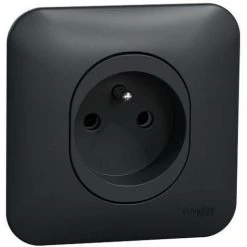 SCHNEIDER Ovalis - Prise De Courant - 2P+T - à Vis - Avec Griffes Avec Plaque -Anthracite (S465039)