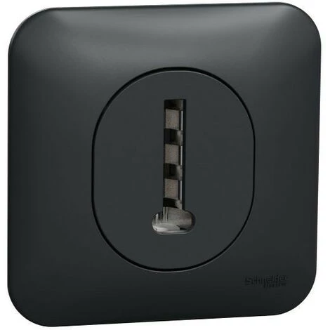 SCHNEIDER Ovalis - Prise Téléphone En T - 8 Contacts Avec Plaque De Finition -Anthracite (S460496) 3 SCHNEIDER Ovalis - Prise Téléphone En T - 8 Contacts Avec Plaque De Finition -Anthracite (S460496)