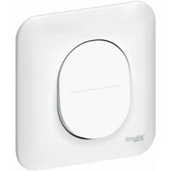 Va-et-Vient Schneider Electric Ovalis 10A + Plaque