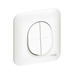 Double Va-et-Vient + Poussoir Schneider Electric Ovalis 10A + Plaque