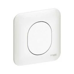 Obturateur Schneider Electric Ovalis + Plaque