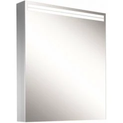 Schneider ARANGALINE LED Armoire De Toilette Lumineuse, 1 Porte, Charnières à Gauche, 60x70x12cm, 160.461.02.41, Exécution: Norme CH/corps Argent AnodisÃ© - 160.461.01.50